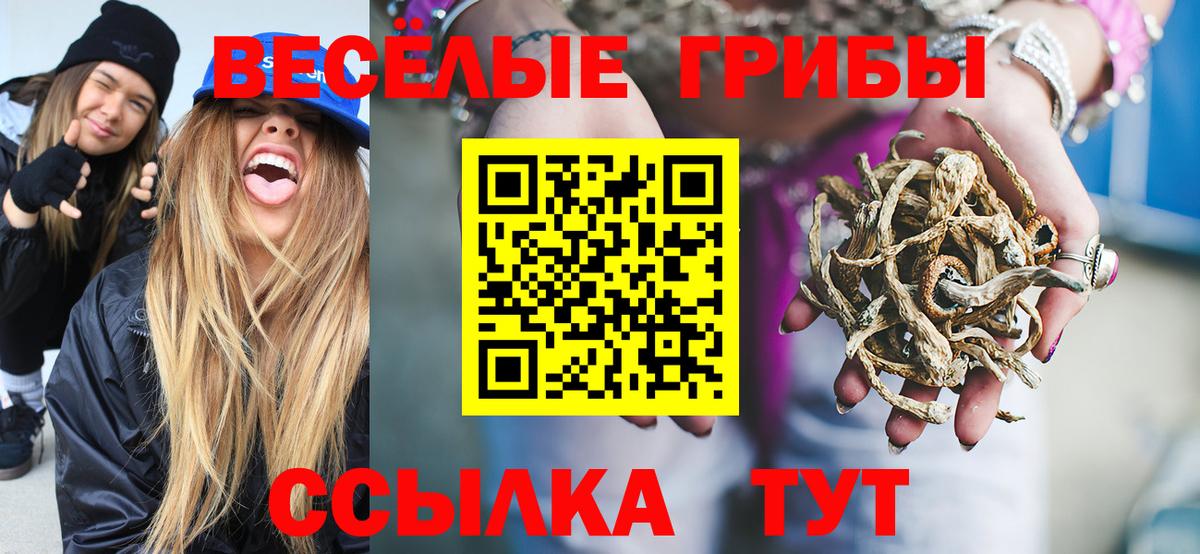Псилоцибиновые грибы Psilocybine cubensis Дзержинск