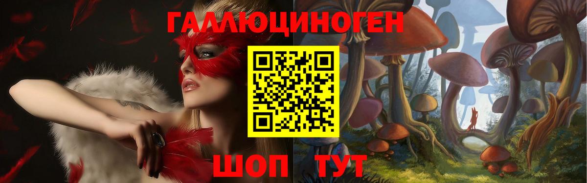 Псилоцибиновые грибы Psilocybe  Галлюциногенные грибы прущие грибы  Дзержинск  Вход с VPN 
